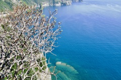 B.-Vedute-a-Corniglia-2