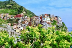 A.-Manarola-Profumato-bouquet-a-picco-sul-mare-2