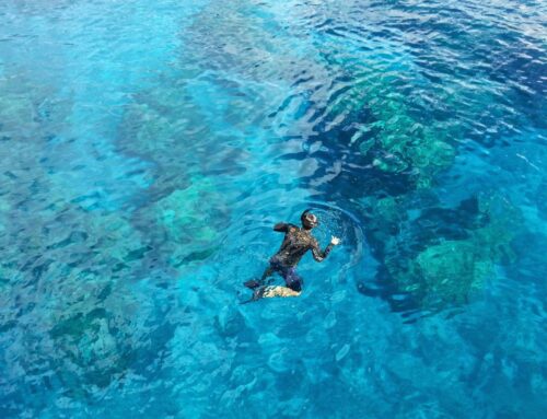 Seatrek snorkeling