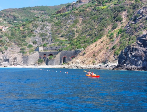 Paths in the blue: swimming lanes in the Marine Protected Area