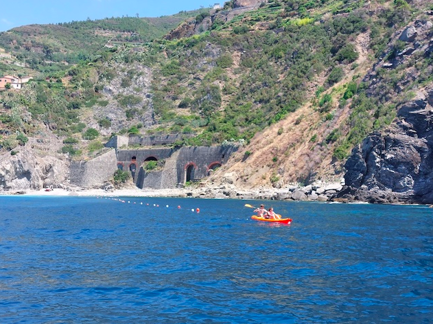 swimming blue lanes in the Marine Protected Area