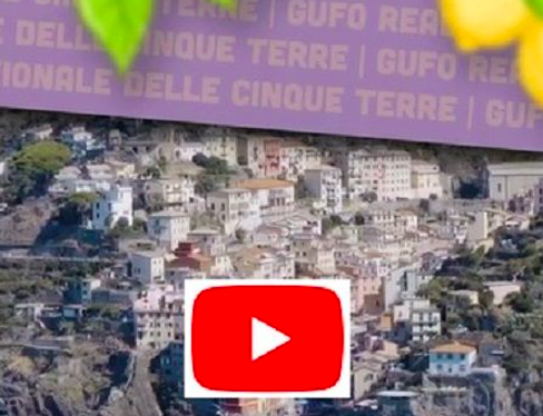 Parco Cinque Terre: 4 percorsi tematici