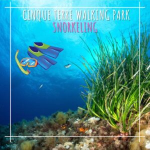 Cinque Terre walking park - 3