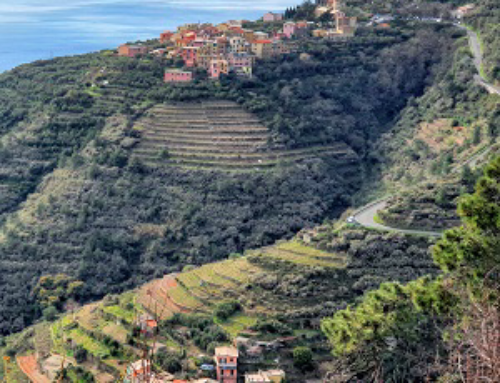 Nuovi ‘tesori’ entrano nel Registro nazionale del paesaggio rurale