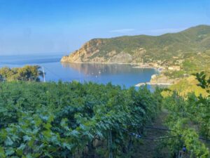 Sentiero Vernazza Monterosso 2
