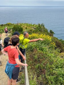 Camminare tra vigneti e storia