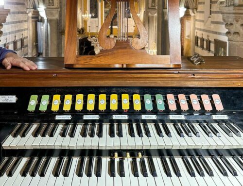 Corniglia resonates on Saturday 31 May 2025