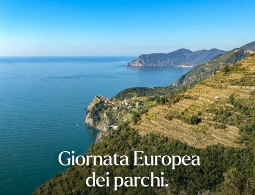 European Day of Parks