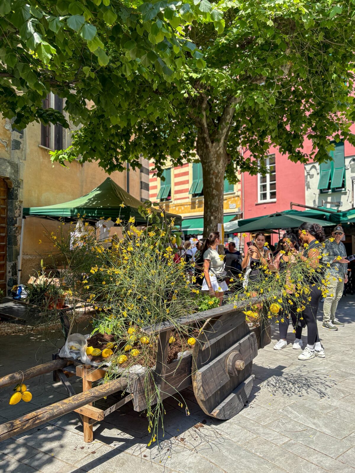 Lemon Fest Monterosso 2025 » Cinque Terre Consorzio Turistico