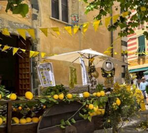 Lemon Fest Monterosso 2025