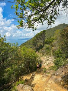 Podere Lovara riapre- un paradiso del FAI tra Levanto e Monterosso3