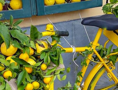 Festa del Limone 2026 a Monterosso