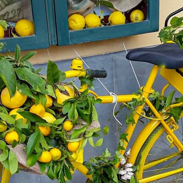 Monterosso Lemon Festival 2026 » Cinque Terre Consorzio Turistico