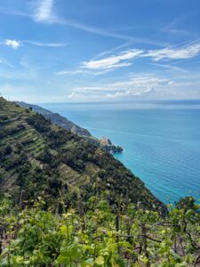 Walking Park dal 12 al 18 maggio 2025