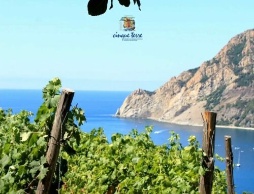 Cinque Terre Walking Park
