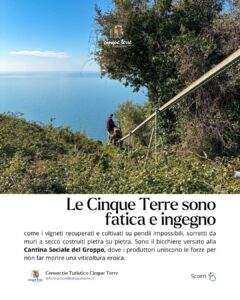 Scoprire le Cinque Terre con lentezza