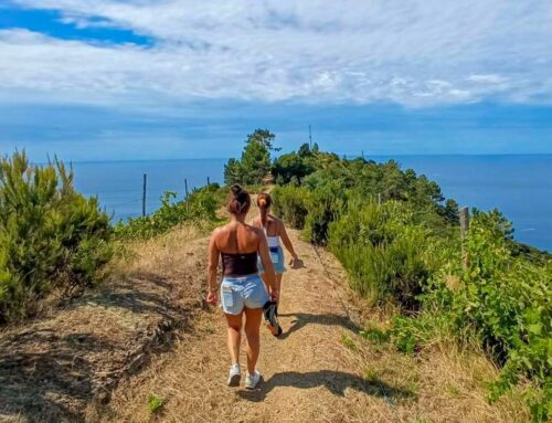 Walking Park August 11th – 15th 2025