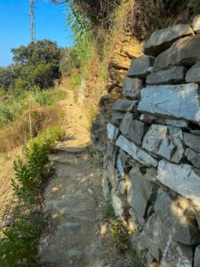 Vendemmia alle Cinque Terre 2025: