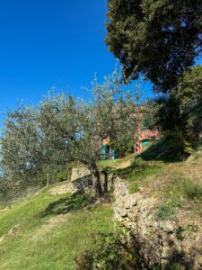 Podere Lovara Cinque Terre