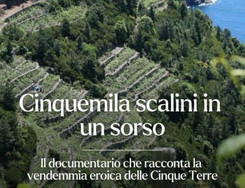 Vendemmia alle Cinque Terre 2025: