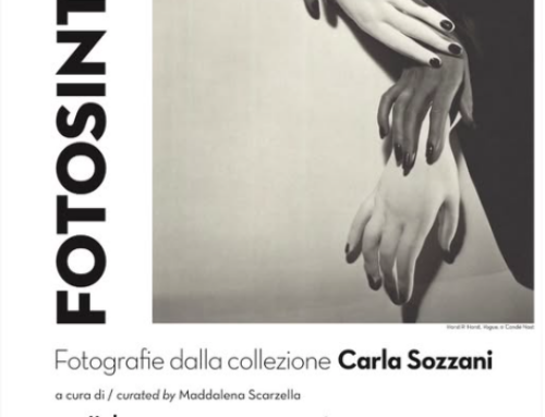 Fotosintesi. Fotografie dalla collezione Carla Sozzani