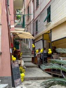 Festa del Limone Monterosso 2026