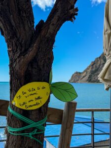 Festa del Limone Monterosso 2026
