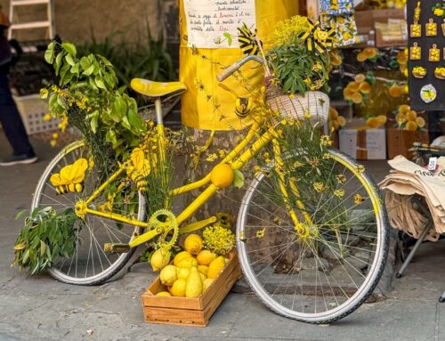 Festa del Limone Monterosso 2026