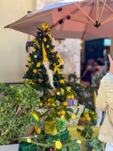 Festa del Limone Monterosso 2026